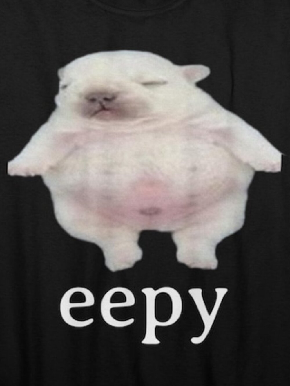 Eepy Dog, Silly Sleepy Dog Unhinged Sarcastic Humor Meme T-Shirt - Picture 2 of 4